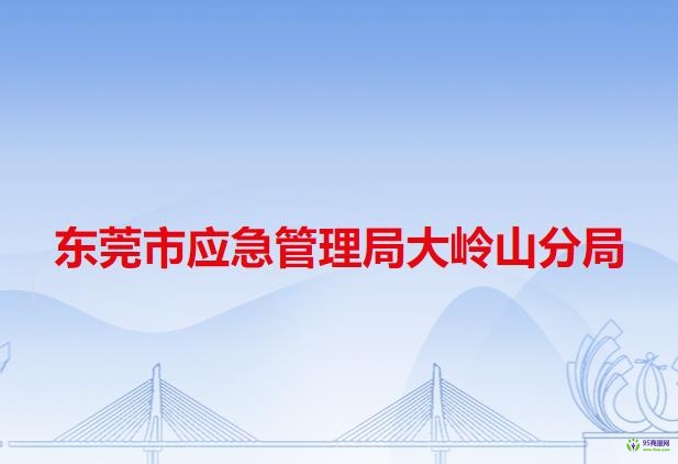 东莞市应急管理局大岭山分局