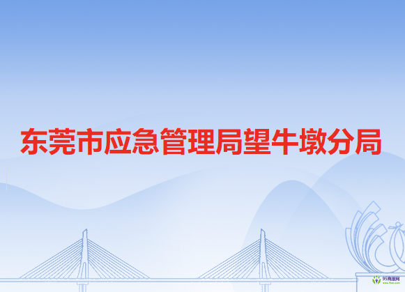 东莞市应急管理局望牛墩分局