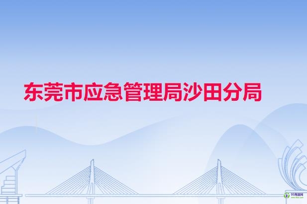 东莞市应急管理局沙田分局
