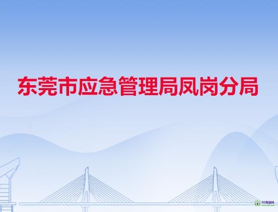 东莞市应急管理局凤岗分局