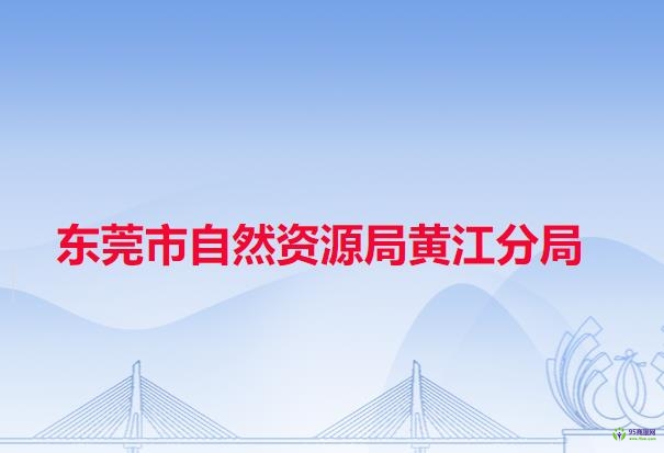东莞市自然资源局黄江分局