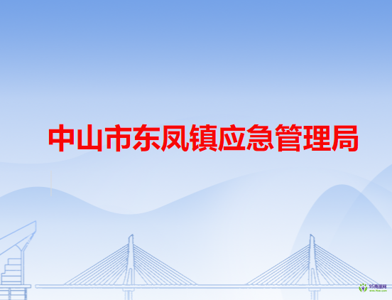 中山市东凤镇应急管理局