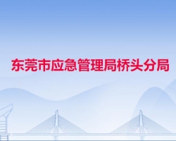 东莞市应急管理局桥头分局