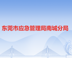 东莞市应急管理局南城分局