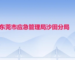 东莞市应急管理局沙田分局