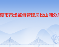 东莞市市场监督管理局松山湖分局