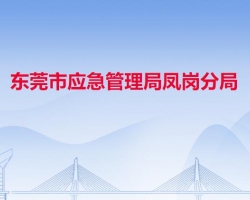 东莞市应急管理局凤岗分局