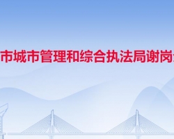 东莞市城市管理和综合执法