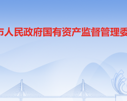 东莞市人民政府国有资产监督管理委员会