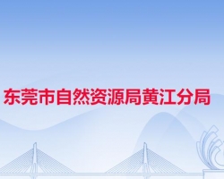 东莞市自然资源局黄江分局