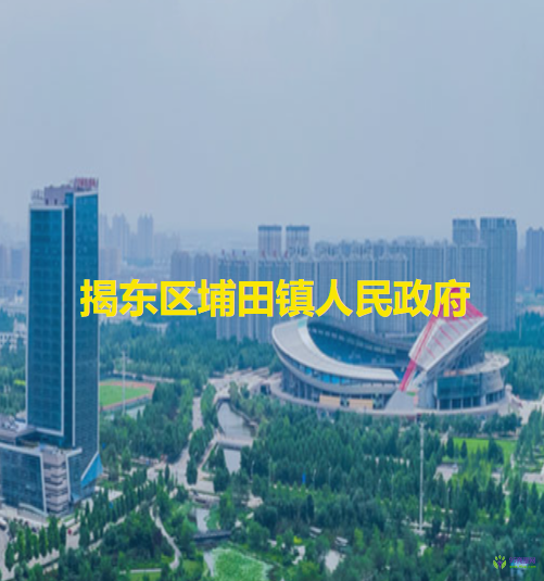 揭阳市揭东区埔田镇人民政府