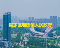 揭阳市揭东区埔田镇人民政府