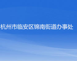 杭州市临安区锦南街道办事处