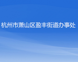 杭州市萧山区盈丰街道办事处