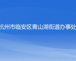 杭州市临安区青山湖街道办事处