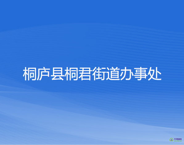 桐庐县桐君街道办事处