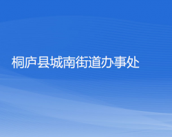 桐庐县城南街道办事处网上办事大厅