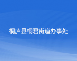 桐庐县桐君街道办事处网上办事大厅