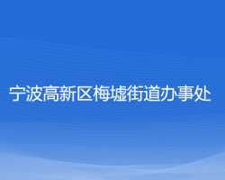 宁波高新区梅墟街道办事处网上办事大厅