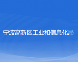 宁波高新区工业和信息化局网上办事大厅