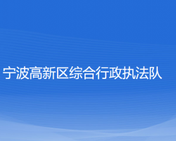 宁波高新区综合行政执法队网上办事大厅