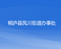 桐庐县凤川街道办事处网上办事大厅