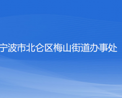 宁波市北仑区梅山街道办事处