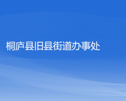 桐庐县旧县街道办事处网上办事大厅