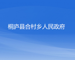 桐庐县合村乡人民政府网上办事大厅