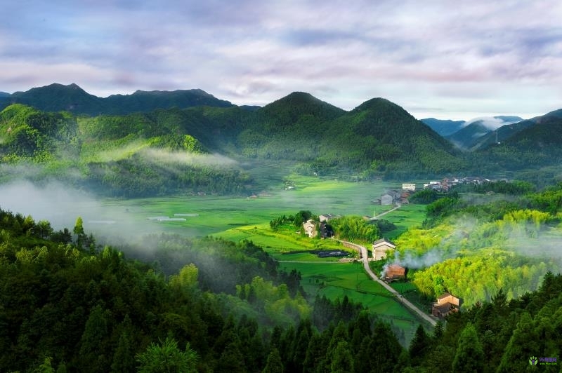 文成县人民政府