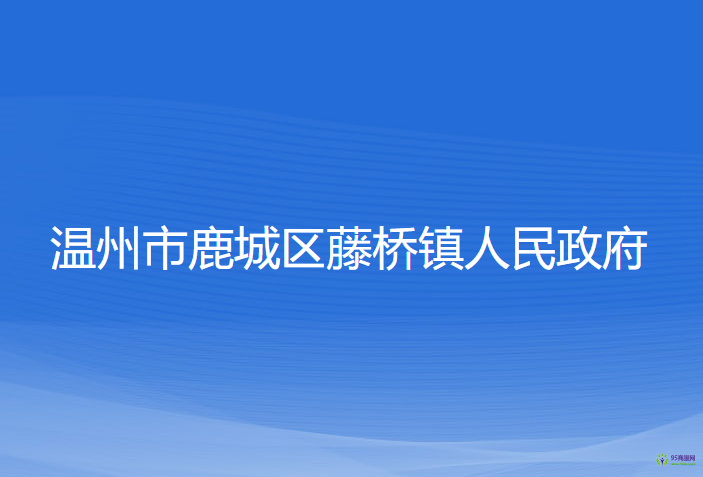 温州市鹿城区藤桥镇人民政府