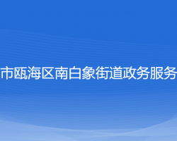 温州市瓯海区南白象街道政务服务中心