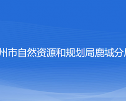 温州市自然资源和规划局鹿城分局