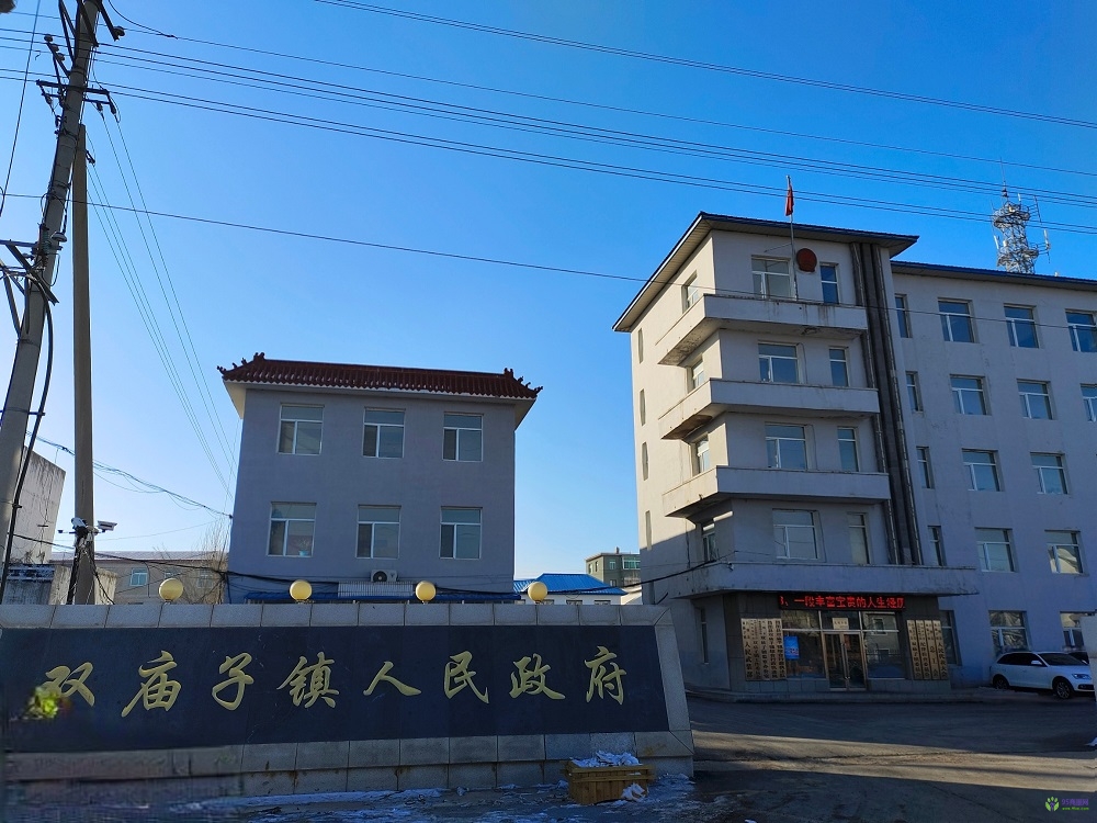 昌图县双庙子镇人民政府