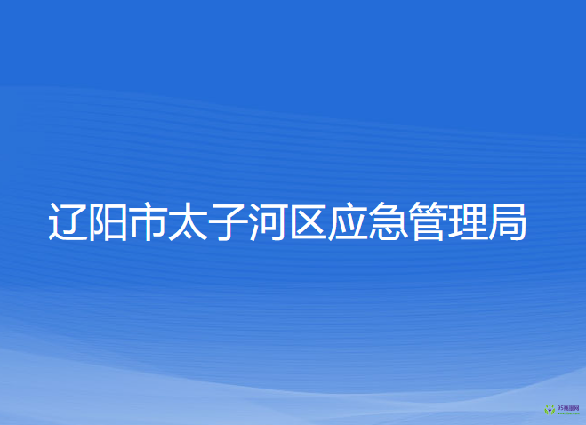 辽阳市太子河区应急管理局