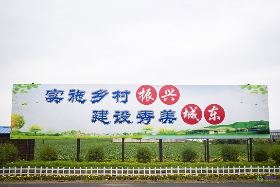 开原市城东镇人民政府