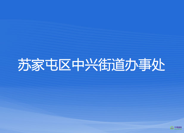 沈阳市苏家屯区中兴街道办事处