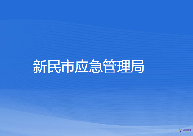 新民市应急管理局