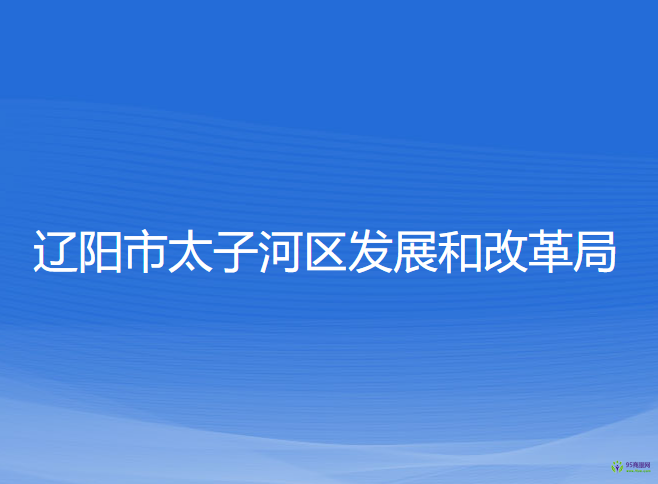 辽阳市太子河区发展和改革局