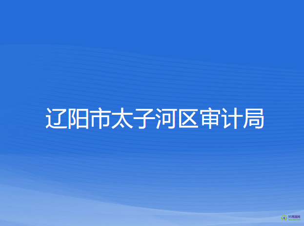 辽阳市太子河区审计局