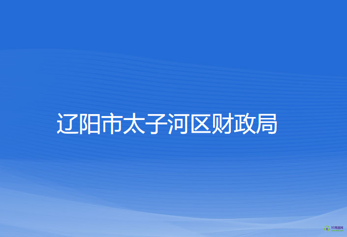 辽阳市太子河区财政局