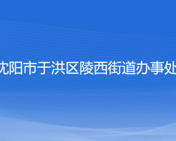 沈阳市于洪区陵西街道办事处