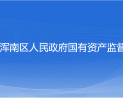 沈阳市浑南区人民政府国有