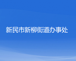 新民市新柳街道办事处