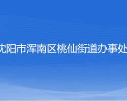 沈阳市浑南区桃仙街道办事处