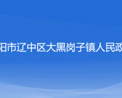 沈阳市辽中区大黑岗子镇人民政府