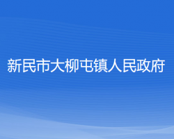 新民市大柳屯镇人民政府