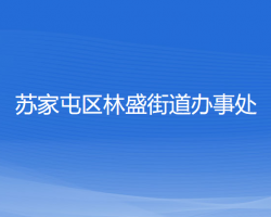 沈阳市苏家屯区林盛街道办事处