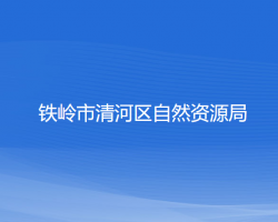 铁岭市清河区自然资源局