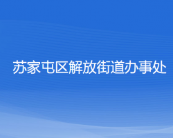 沈阳市苏家屯区解放街道办事处